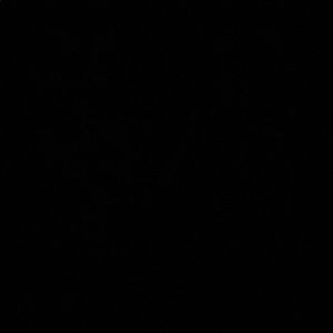 Meet your Posher, Rayshon